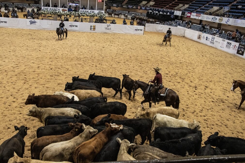 Rather than cancel, NCHA Futurity organizers enhanced biosecurity protocols, aligning with other major shows that opted to mitigate risk while allowing competition to continue. 