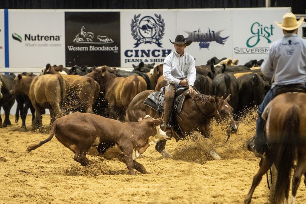 The NCHA Futurity was already underway when officials learned of the EHV outbreak. 