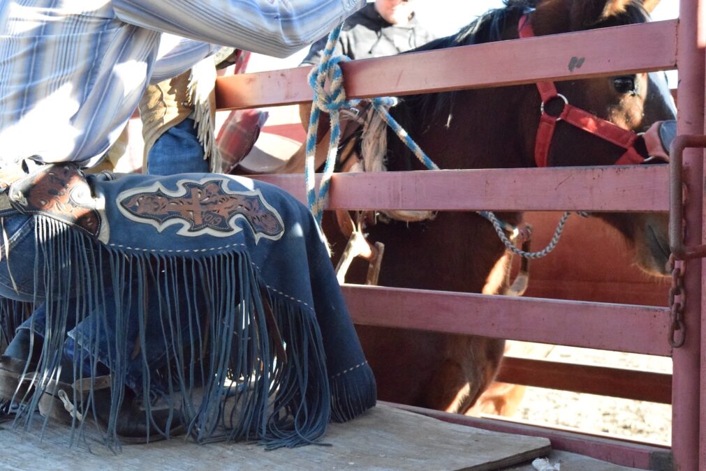 bronc rider squatted on the back of the bucking shoot