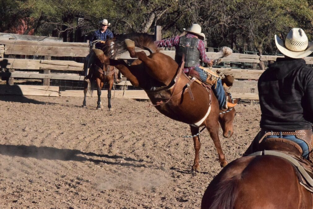 bronc rider on a bucking horse