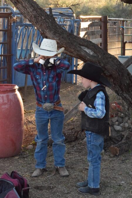 jolyn young's boys standing by a tree watching