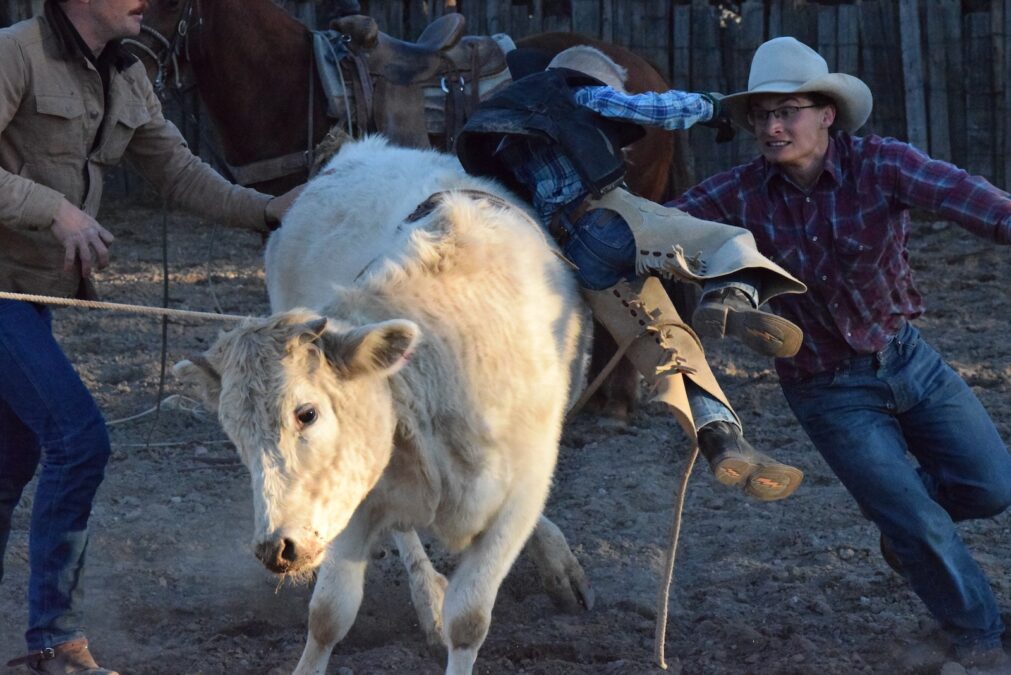 getting bucked off