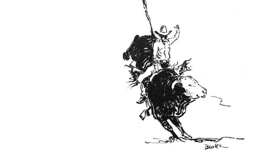 riding bulls sketch