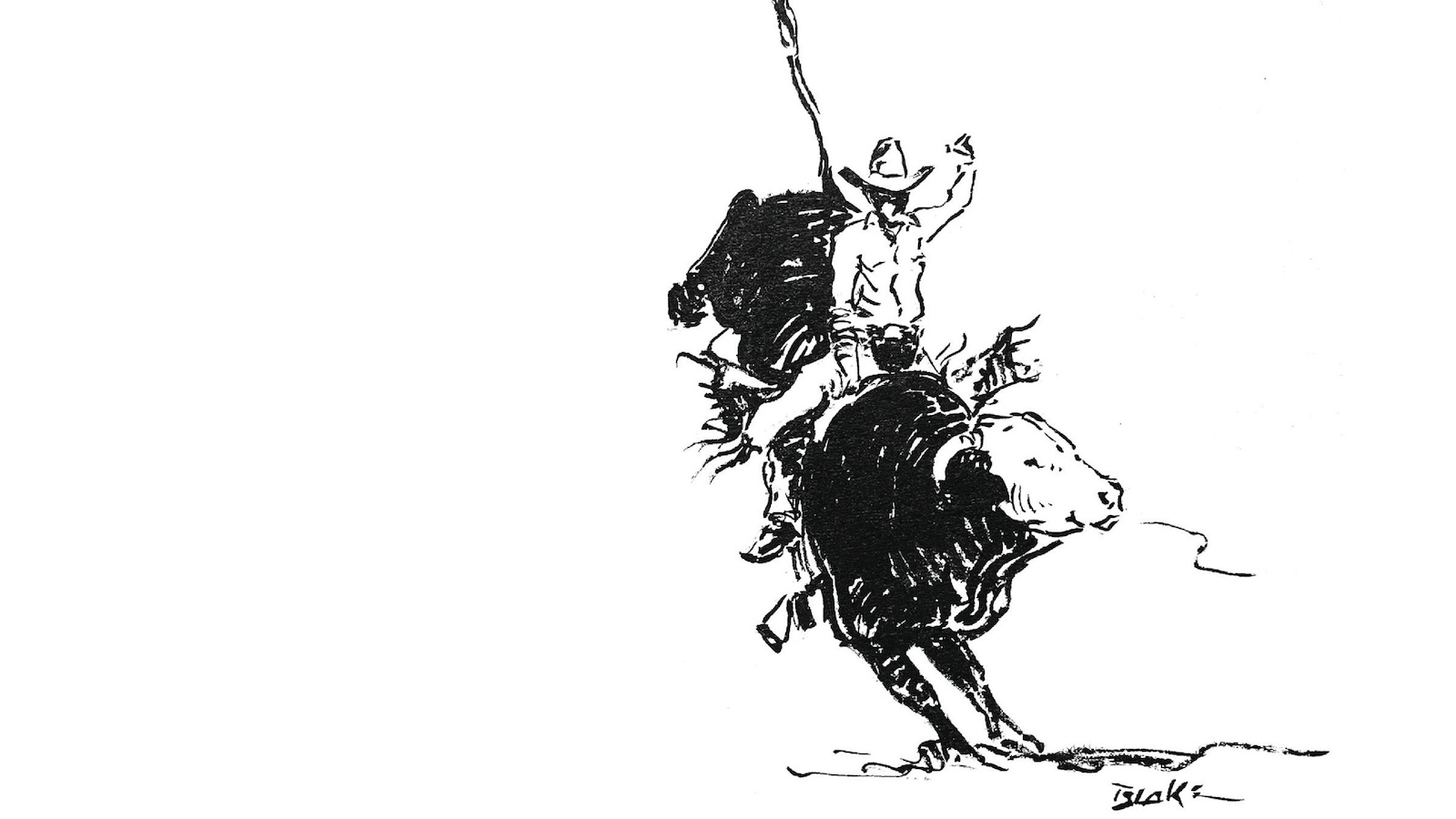 riding bulls sketch