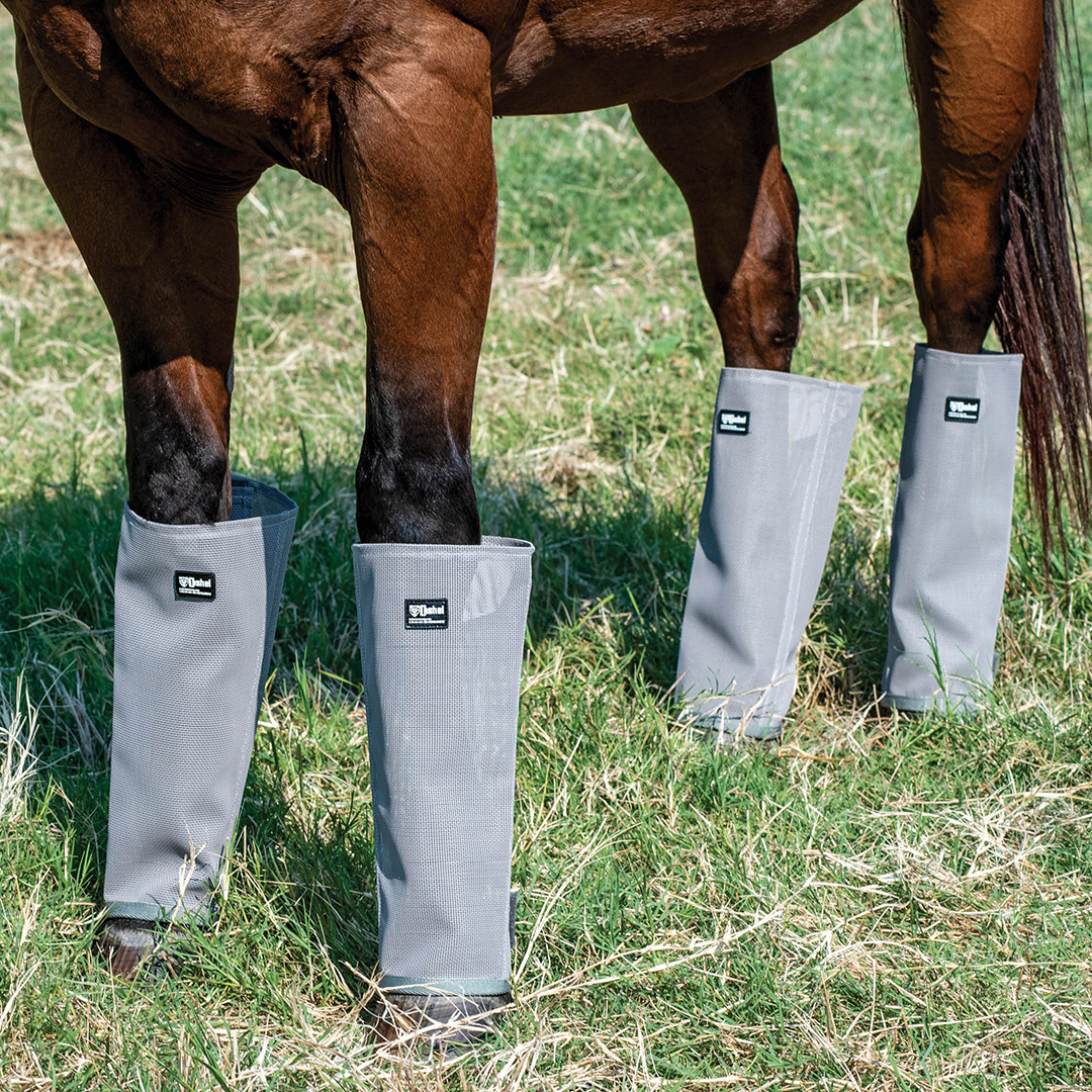 Crusader Leg Guards, Turnout from Cashel