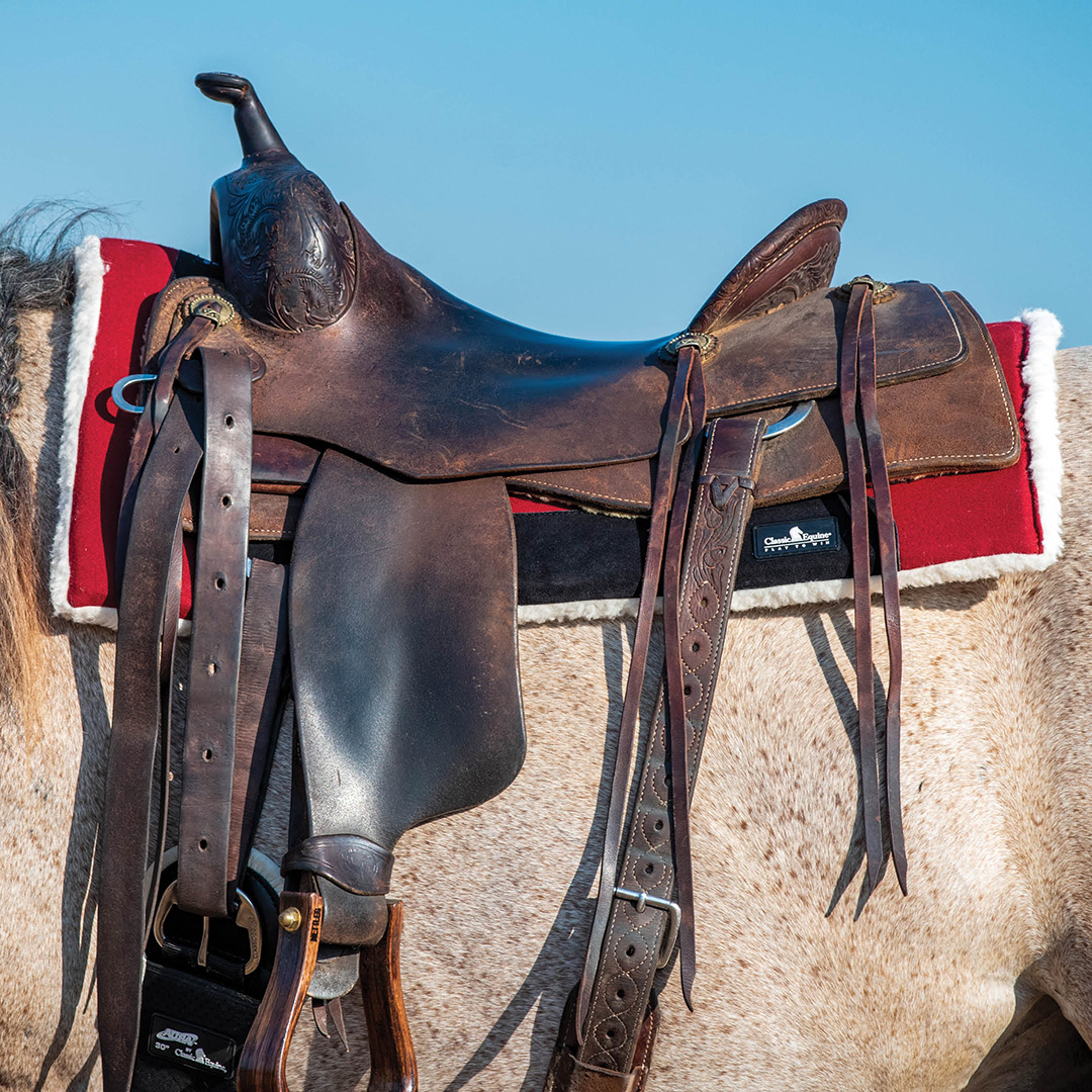 Performance Trainer Saddle Pad, Felt Top from Classic Equine