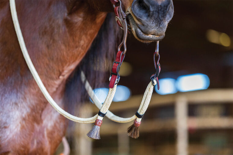 Adjustable Reins and Waxed Nylon Split Reins From Double Diamond Halter Co. INC.