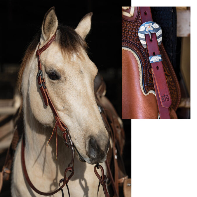 White horse wearing the STS Ranch Signature One-Ear Headstall, 3/4-inch featuring the “Jessie” Buckle