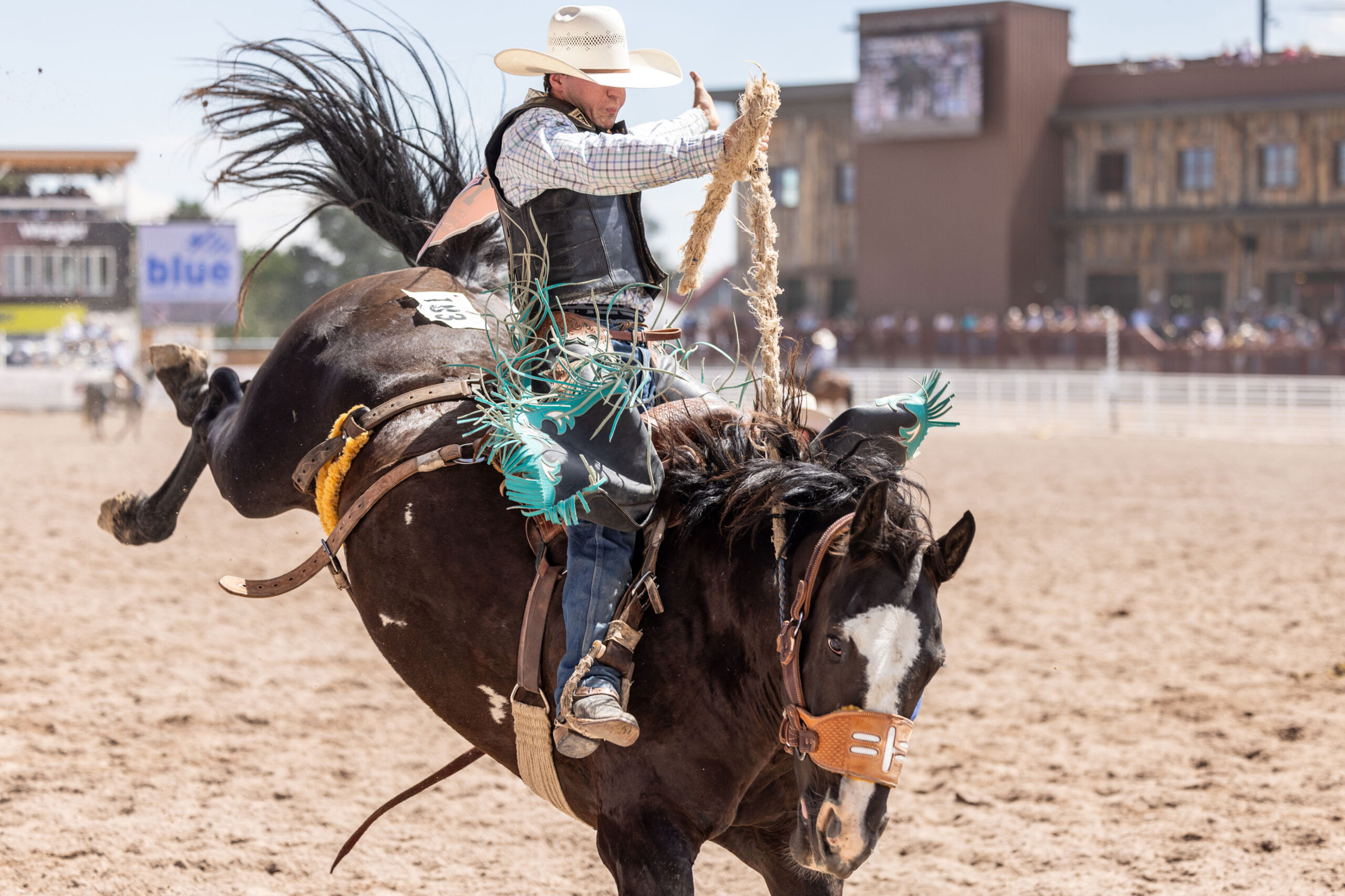 Saddle Bronc Rider at Cheyenne Frontier Days