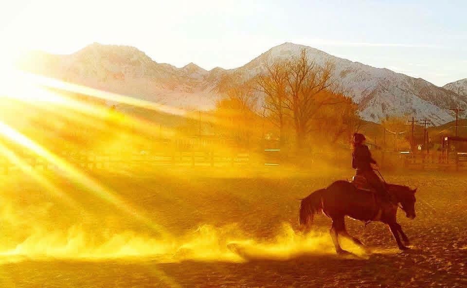 riding horse in arena