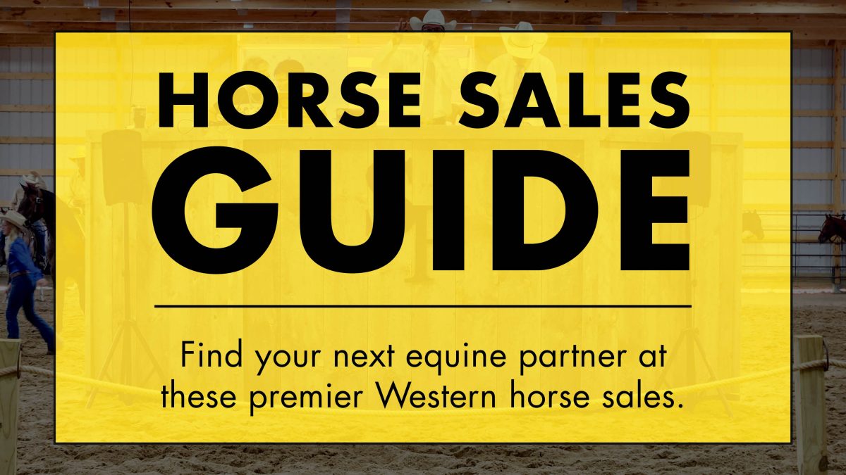 Horse Sales Guide