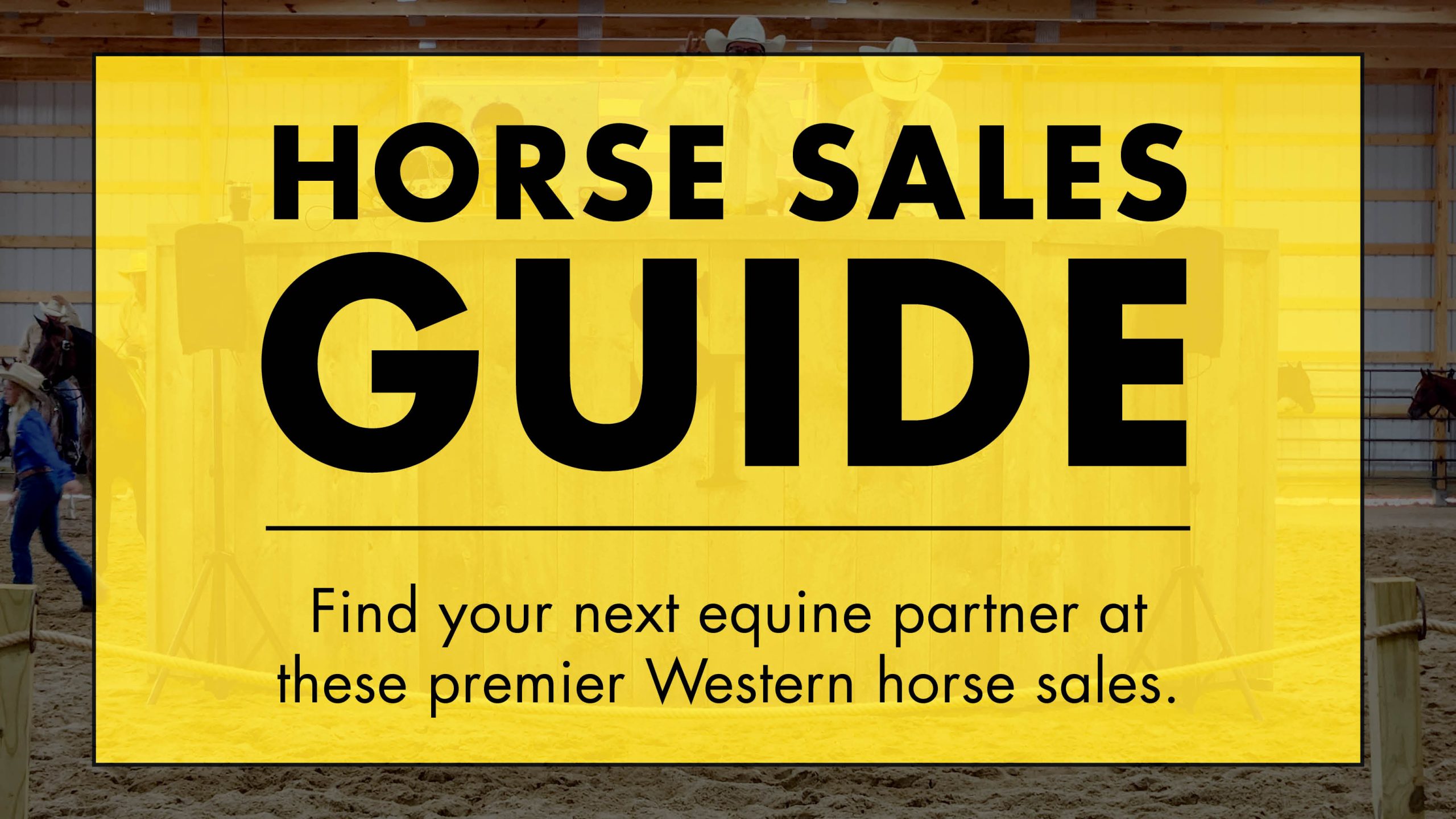 Horse Sales Guide