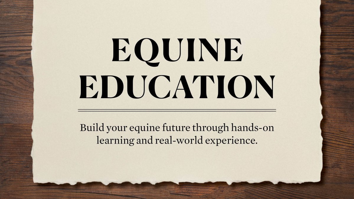 Equine Education