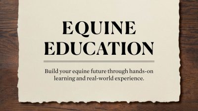 Equine Education