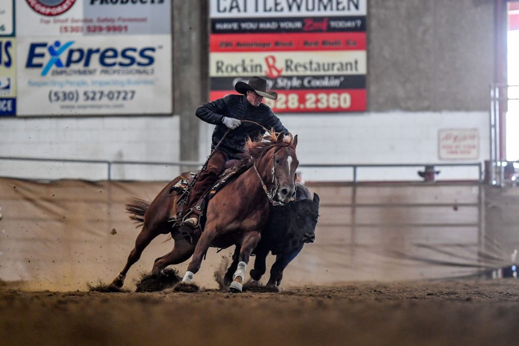 Red Bluff Bull and Gelding Sale