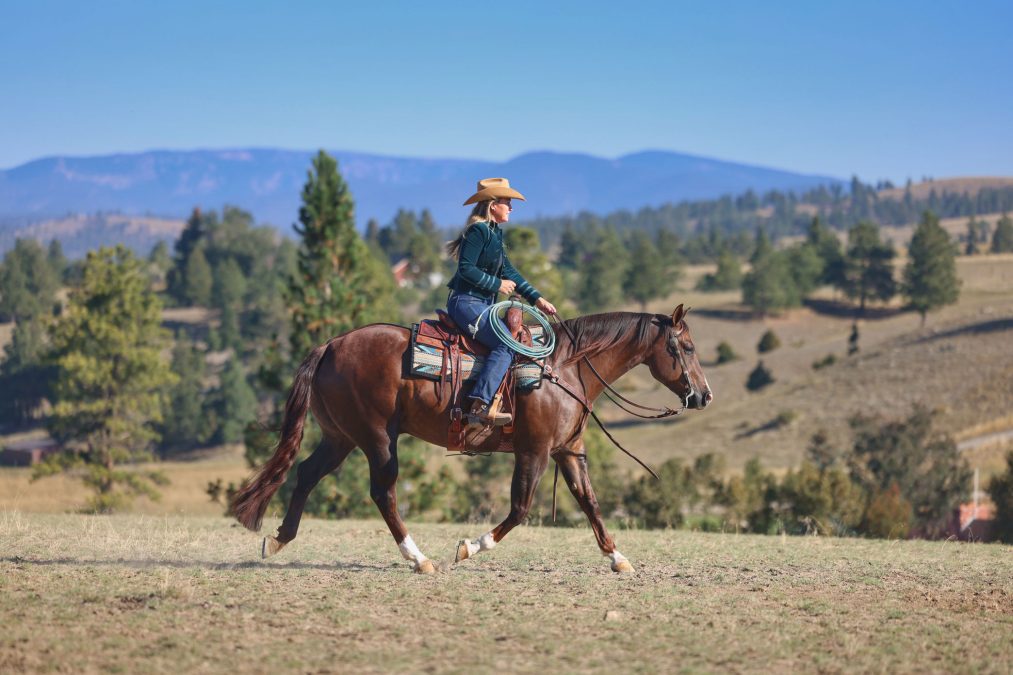 League of Legends Invitational Horse Sale